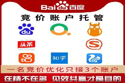 SEM推广策略：成功案例解析与效果评估